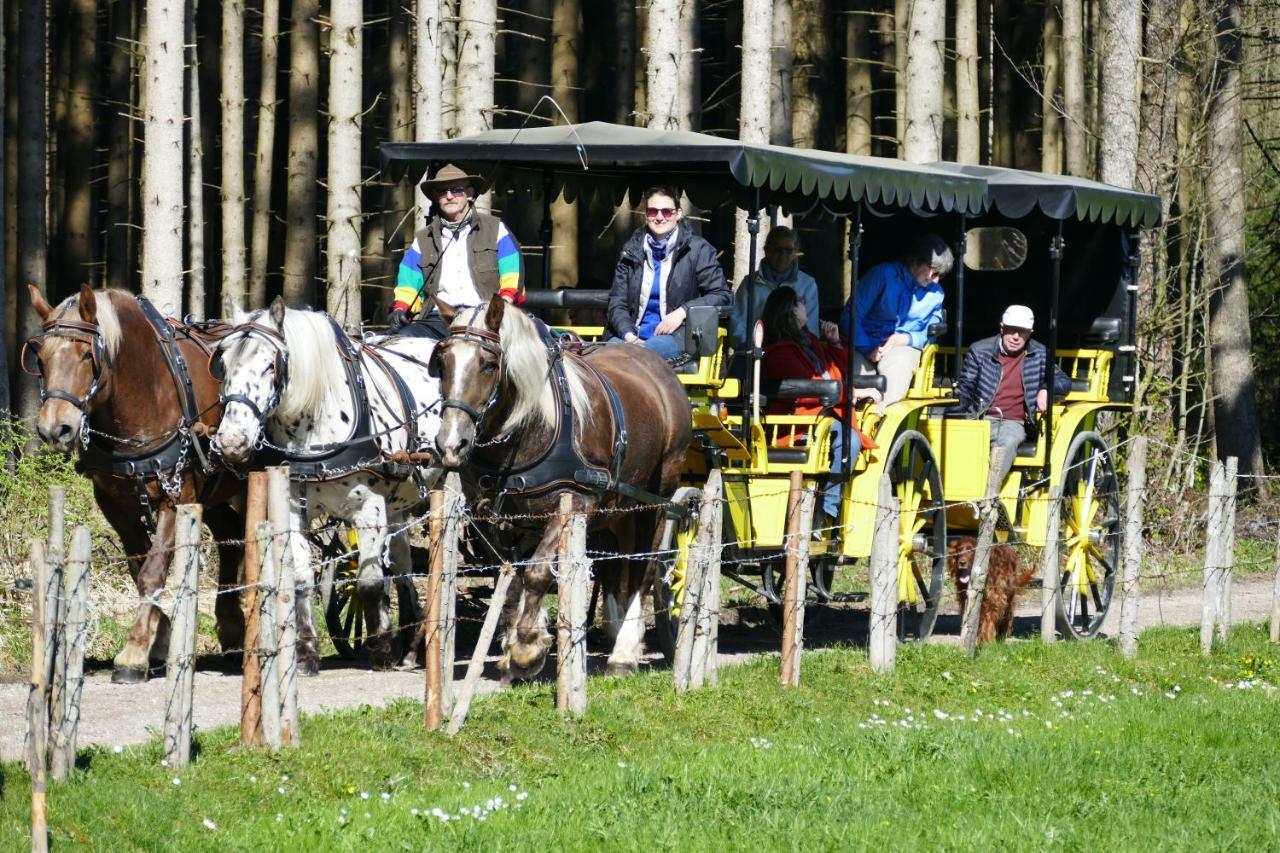 Hotel Alpenhof Bad Wörishofen Exteriör bild